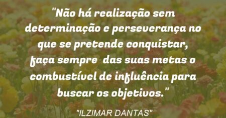 “Não há realização sem determinação e perseverança no que se pretende conquistar, faça sempre das suas metas o combustível de influência para buscar os objetivos.”