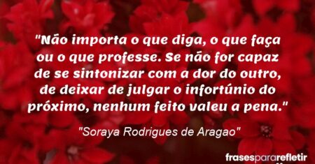 “Não importa o que diga, o que faça ou o que professe. Se não for capaz de se sintonizar com a dor do outro, de deixar de julgar o infortúnio do próximo, nenhum feito valeu a pena.”