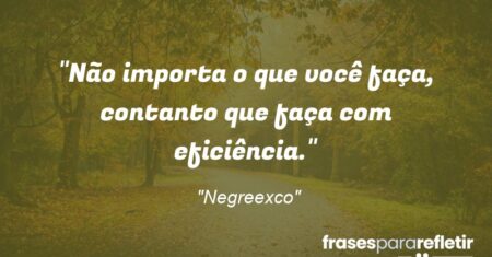 ““Não importa o que você faça, contanto que faça com eficiência.””