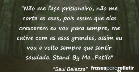 “Não me faça prisioneiro, não me corte as asas, pois assim que elas crescerem eu vou para sempre, me cative com as asas grandes, assim eu vou e volto sempre que sentir saudade. Stand By Me…(Patife)”