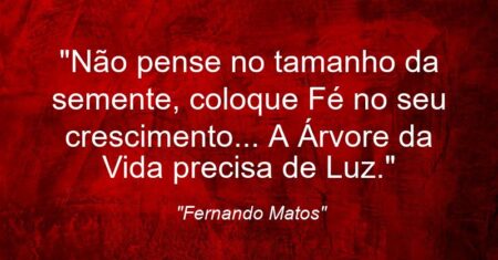“Não pense no tamanho da semente, coloque Fé no seu crescimento… A Árvore da Vida precisa de Luz.”