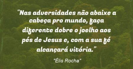 “Nas adversidades não abaixe a cabeça pro mundo, faça diferente dobre o joelho aos pés de Jesus e, com a sua fé alcançará vitória.”