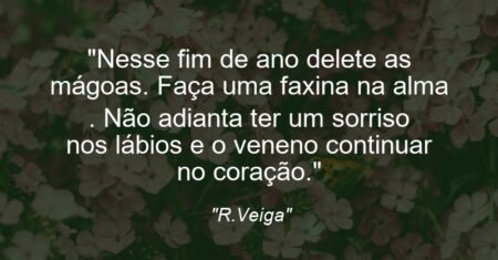 “Nesse fim de ano delete as mágoas. Faça uma faxina na alma . Não adianta ter um sorriso nos lábios e o veneno continuar no coração.”