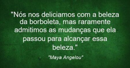 “Nós nos deliciamos com a beleza da borboleta, mas raramente admitimos as mudanças que ela passou para alcançar essa beleza.”