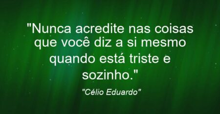 “Nunca acredite nas coisas que você diz a si mesmo quando está triste e sozinho.”