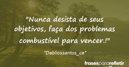 “Nunca desista de seus objetivos, faça dos problemas combustível para vencer.!”