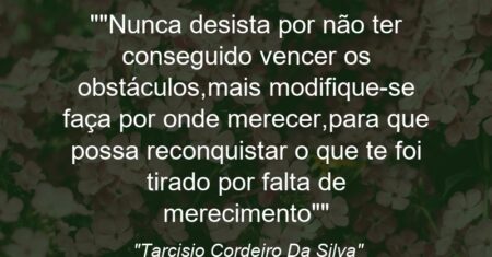 “”Nunca desista por não ter conseguido vencer os obstáculos,mais modifique-se faça por onde merecer,para que possa reconquistar o que te foi tirado por falta de merecimento””