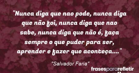 “Nunca diga que nao pode, nunca diga que não foi, nunca diga que nao sabe, nunca diga que não é, faça sempre o que puder para ser, aprender e fazer que aconteça….”