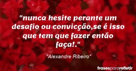 “nunca hesite perante um desafio ou convicção,se é isso que tem que fazer então faça!.”