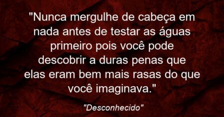 “Nunca mergulhe de cabeça em nada antes de testar as águas primeiro pois você pode descobrir a duras penas que elas eram bem mais rasas do que você imaginava.”