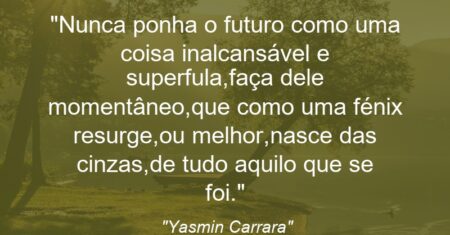 “Nunca ponha o futuro como uma coisa inalcansável e superfula,faça dele momentâneo,que como uma fénix resurge,ou melhor,nasce das cinzas,de tudo aquilo que se foi.”