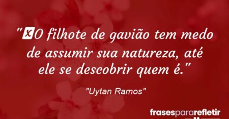 “O filhote de gavião tem medo de assumir sua natureza, até ele se descobrir quem é.”