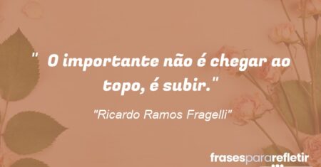 “O importante não é chegar ao topo, é subir.”