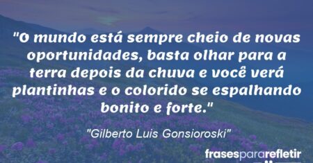 “O mundo está sempre cheio de novas oportunidades, basta olhar para a terra depois da chuva e você verá plantinhas e o colorido se espalhando bonito e forte.”