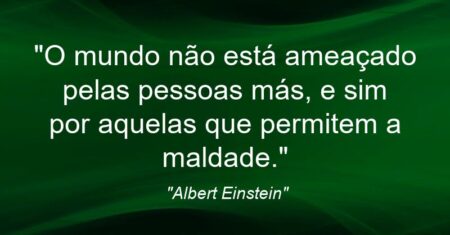 “O mundo não está ameaçado pelas pessoas más, e sim por aquelas que permitem a maldade.”