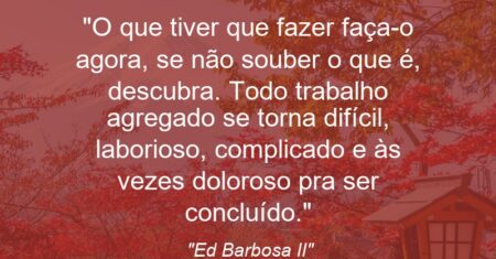 “O que tiver que fazer faça-o agora, se não souber o que é, descubra. Todo trabalho agregado se torna difícil, laborioso, complicado e às vezes doloroso pra ser concluído.”