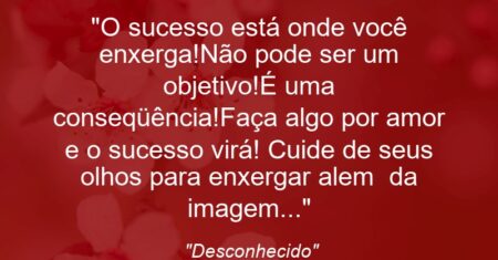 “O sucesso está onde você enxerga!Não pode ser um objetivo!É uma conseqüência!Faça algo por amor e o sucesso virá! Cuide de seus olhos para enxergar alem da imagem…”