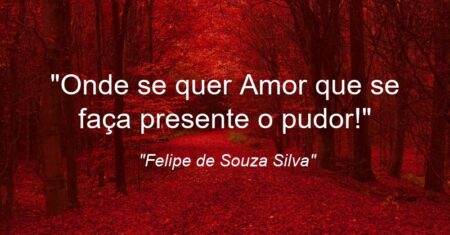 “Onde se quer Amor que se faça presente o pudor!”