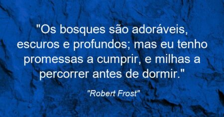“Os bosques são adoráveis, escuros e profundos; mas eu tenho promessas a cumprir, e milhas a percorrer antes de dormir.”