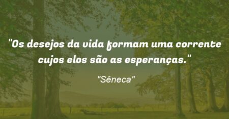 “Os desejos da vida formam uma corrente cujos elos são as esperanças.”