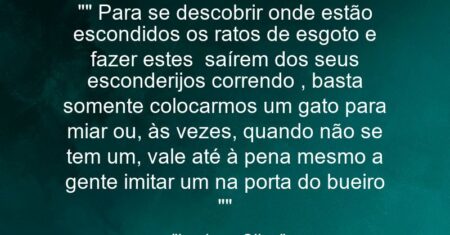 “” Para se descobrir onde estão escondidos os ratos de esgoto e fazer estes saírem dos seus esconderijos correndo , basta somente colocarmos um gato para miar ou, às vezes, quando não se tem um, vale até à pena mesmo a gente imitar um na porta do bueiro “”