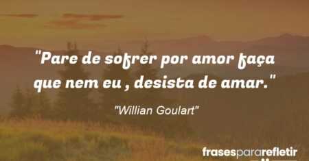 “Pare de sofrer por amor faça que nem eu , desista de amar.”