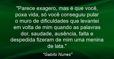 “Parece exagero, mas é que você, poxa vida, só você conseguiu pular o muro de dificuldades que levantei em volta de mim quando as palavras dor, saudade, ausência, falta e despedida fizeram de mim uma menina de lata.”
