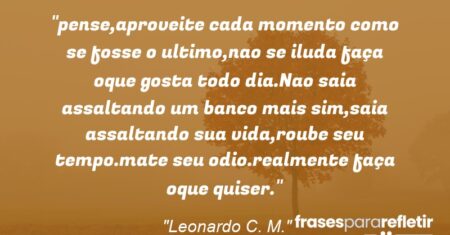 “pense,aproveite cada momento como se fosse o ultimo,nao se iluda faça oque gosta todo dia.Nao saia assaltando um banco mais sim,saia assaltando sua vida,roube seu tempo.mate seu odio.realmente faça oque quiser.”