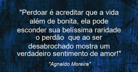 “Perdoar é acreditar que a vida além de bonita, ela pode esconder sua belíssima raridade ‘ o perdão ‘ que ao ser desabrochado mostra um verdadeiro sentimento de amor!”