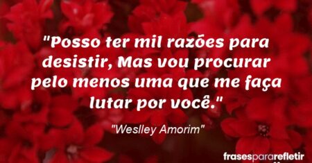 “Posso ter mil razões para desistir, Mas vou procurar pelo menos uma que me faça lutar por você.”