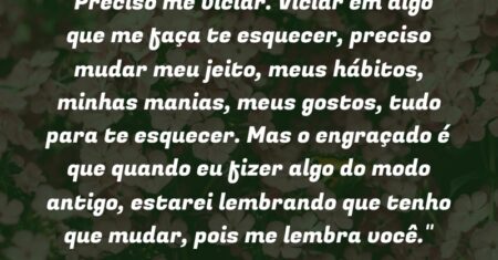 “Preciso me viciar. Viciar em algo que me faça te esquecer, preciso mudar meu jeito, meus hábitos, minhas manias, meus gostos, tudo para te esquecer. Mas o engraçado é que quando eu fizer algo do modo antigo, estarei lembrando que tenho que mudar, pois me lembra você.”