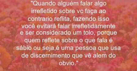 “Quando alguém falar algo irrefletido sobre vc faça ao contrario reflita, fazendo isso você evitará falar irrefletidamente e ser considerado um tolo, porque quem reflete sobre o que fala é sábio ou seja,é uma pessoa que usa de discernimento que vê alem do obvio.”