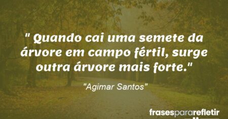 “Quando cai uma semete da árvore em campo fértil, surge outra árvore mais forte.”