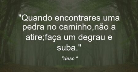 “Quando encontrares uma pedra no caminho,não a atire;faça um degrau e suba.”