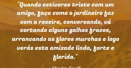 “Quando estiveres triste com um amigo, faça como o jardineiro faz com a roseira, conversando, vá cortando alguns galhos fracos, arrancando as flores murchas e logo verás esta amizade linda, forte e florida.”