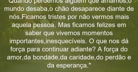“Quando perdemos alguém que amamos,o mundo desaba,o chão desaparece diante de nós.Ficamos tristes por não vermos mais aquela pessoa. Mas ficamos felizes em saber que vivemos momentos importantes,inesquecíveis. O que nos dá força para continuar adiante? A força do amor,da bondade,da caridade,do perdão e da esperança.”