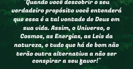 “Quando você descobrir o seu verdadeiro propósito você entenderá que essa é a tal vontade de Deus em sua vida. Assim, o Universo, o Cosmos, as Energias, as Leis da natureza, e tudo que há de bom não terão outra alternativa a não ser conspirar a seu favor!”