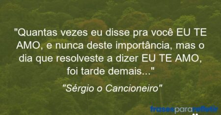 “Quantas vezes eu disse pra você EU TE AMO, e nunca deste importância, mas o dia que resolveste a dizer EU TE AMO, foi tarde demais…”