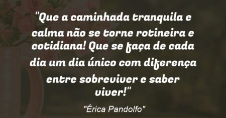 “Que a caminhada tranquila e calma não se torne rotineira e cotidiana! Que se faça de cada dia um dia único com diferença entre sobreviver e saber viver!”