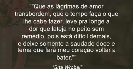 “Que as lágrimas de amor transbordem, que o tempo faça o que lhe cabe fazer, leve pra longe a dor que lateja no peito sem remédio, pois está difícil demais, e deixe somente a saudade doce e terna que fará meu coração voltar a bater.”