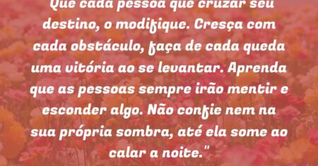 “Que cada pessoa que cruzar seu destino, o modifique. Cresça com cada obstáculo, faça de cada queda uma vitória ao se levantar. Aprenda que as pessoas sempre irão mentir e esconder algo. Não confie nem na sua própria sombra, até ela some ao calar a noite.”