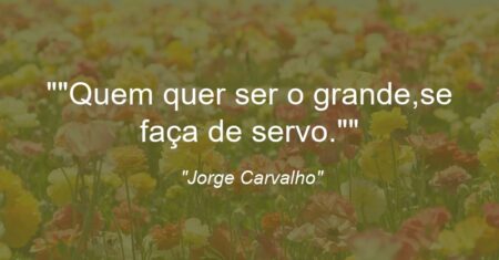 “Quem quer ser o grande,se faça de servo.”