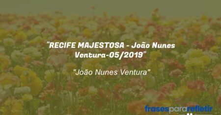 “RECIFE MAJESTOSA – João Nunes Ventura-05/2019”