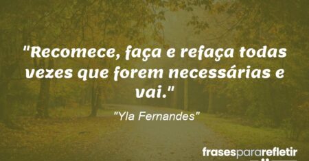 “Recomece, faça e refaça todas vezes que forem necessárias e vai.”