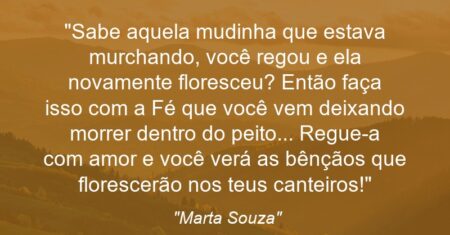 “Sabe aquela mudinha que estava murchando, você regou e ela novamente floresceu? Então faça isso com a Fé que você vem deixando morrer dentro do peito… Regue-a com amor e você verá as bênçãos que florescerão nos teus canteiros!”