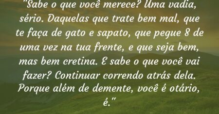 “Sabe o que você merece? Uma vadia, sério. Daquelas que trate bem mal, que te faça de gato e sapato, que pegue 8 de uma vez na tua frente, e que seja bem, mas bem cretina. E sabe o que você vai fazer? Continuar correndo atrás dela. Porque além de demente, você é otário, é.”