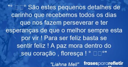 “° ೋ✿° São estes pequenos detalhes de carinho que recebemos todos os dias que nos fazem perseverar e ter esperanças de que o melhor sempre esta por vir ! Para ser feliz basta se sentir feliz ! A paz mora dentro do seu coração , floresça ! ° ೋ✿°”
