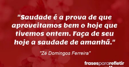 “Saudade é a prova de que aproveitamos bem o ‘hoje’ que tivemos ontem. Faça de seu ‘hoje’ a saudade de amanhã.”