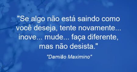 “Se algo não está saindo como você deseja, tente novamente… inove… mude… faça diferente, mas não desista.”