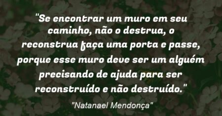 “Se encontrar um muro em seu caminho, não o destrua, o reconstrua faça uma porta e passe, porque esse muro deve ser um alguém precisando de ajuda para ser reconstruído e não destruído.”